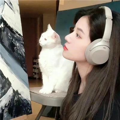 无为大师第三季